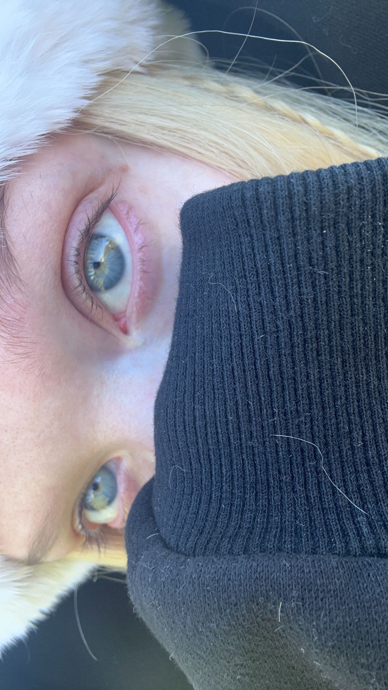 endangerdreamer snapchat image archive image