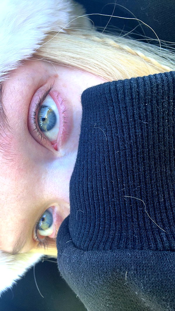 endangerdreamer image ~ Altpins