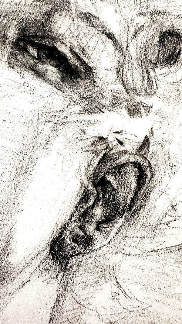 endangerdreamer image ~ Altpins