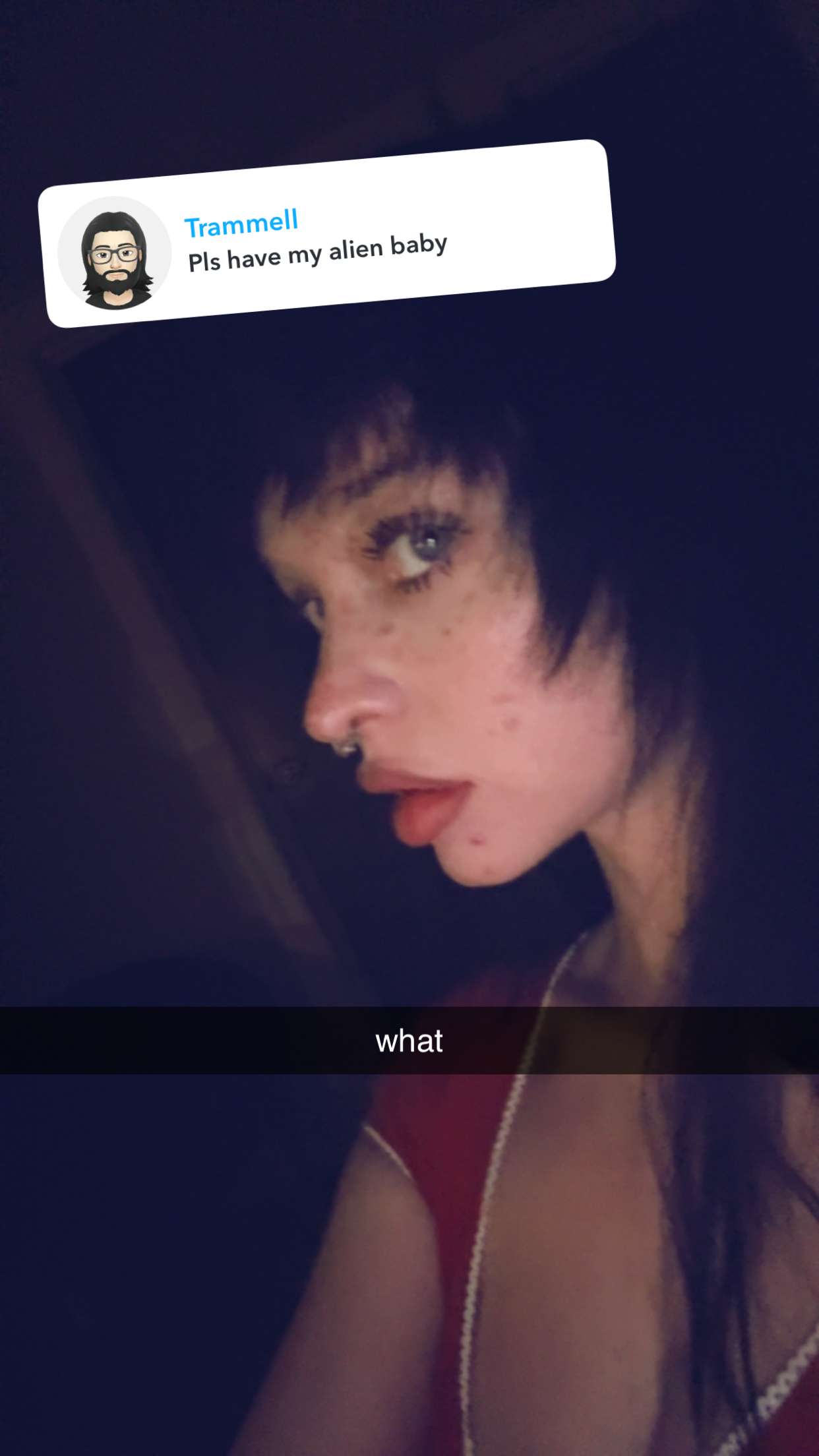 endangerdreamer snapchat image archive image