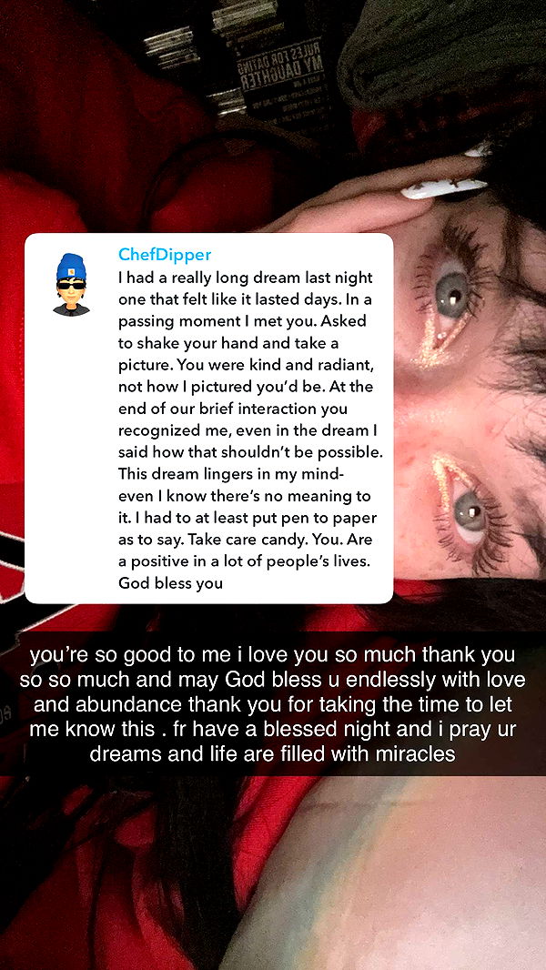 endangerdreamer image ~ Altpins