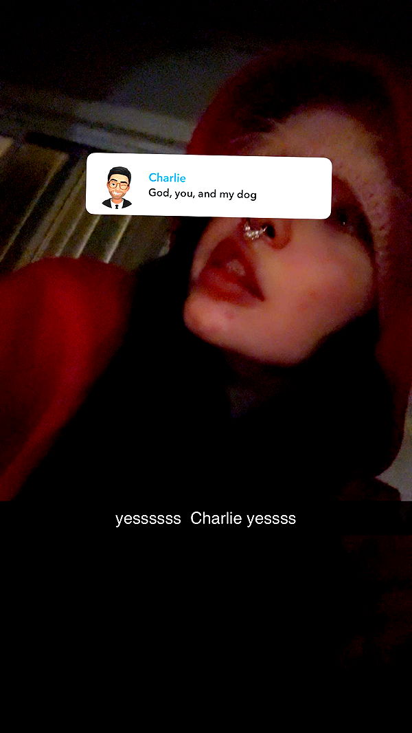 endangerdreamer image ~ Altpins