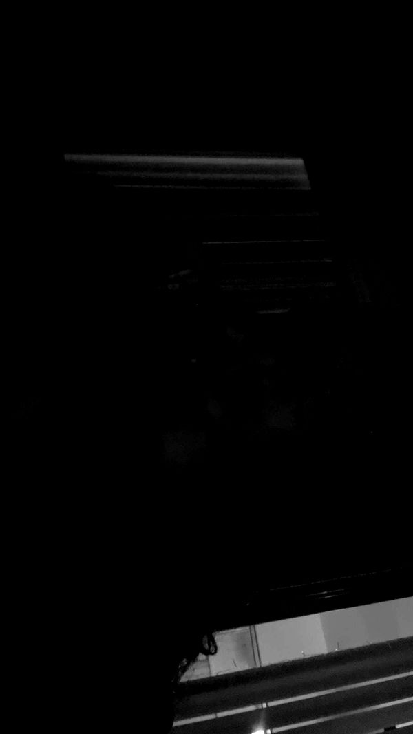 endangerdreamer image ~ Altpins