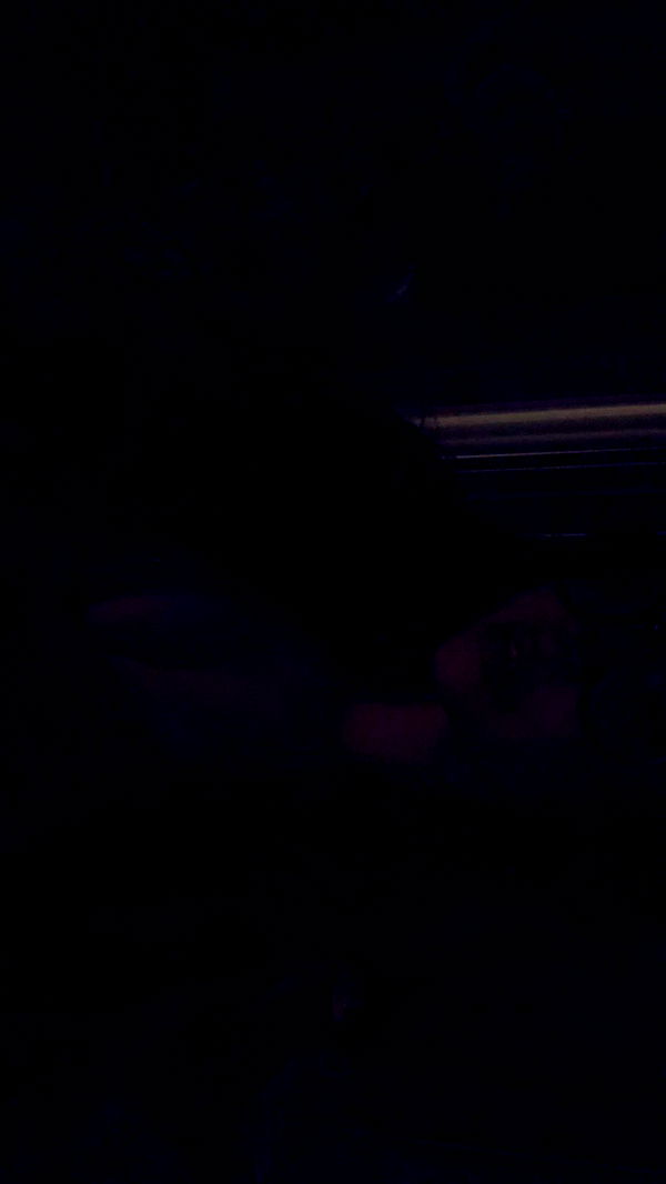 endangerdreamer image ~ Altpins