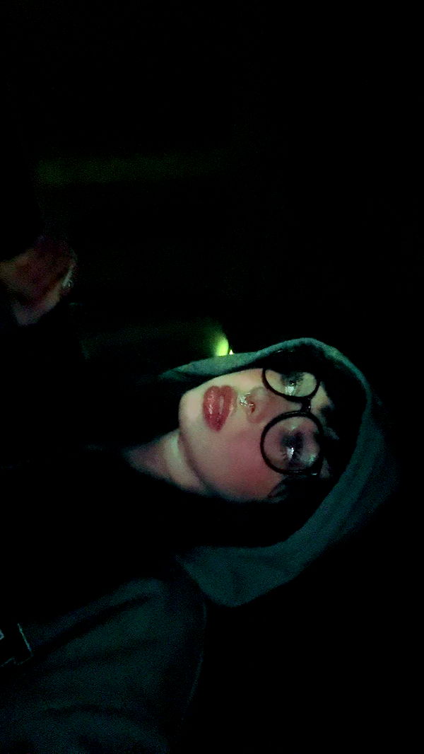 endangerdreamer image ~ Altpins