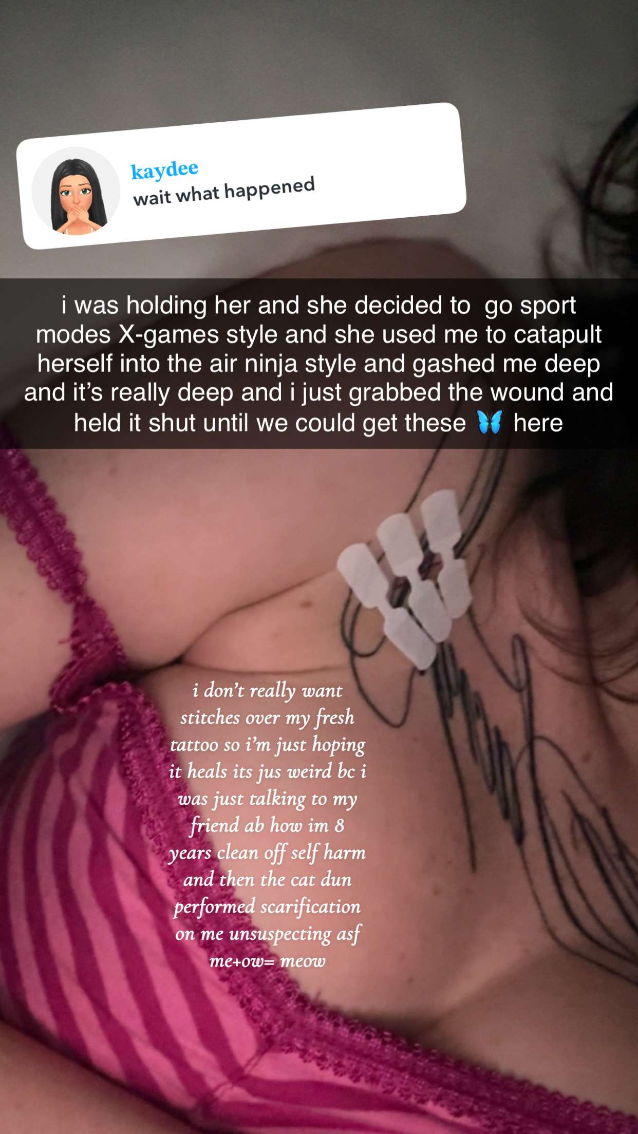 endangerdreamer snapchat image archive image