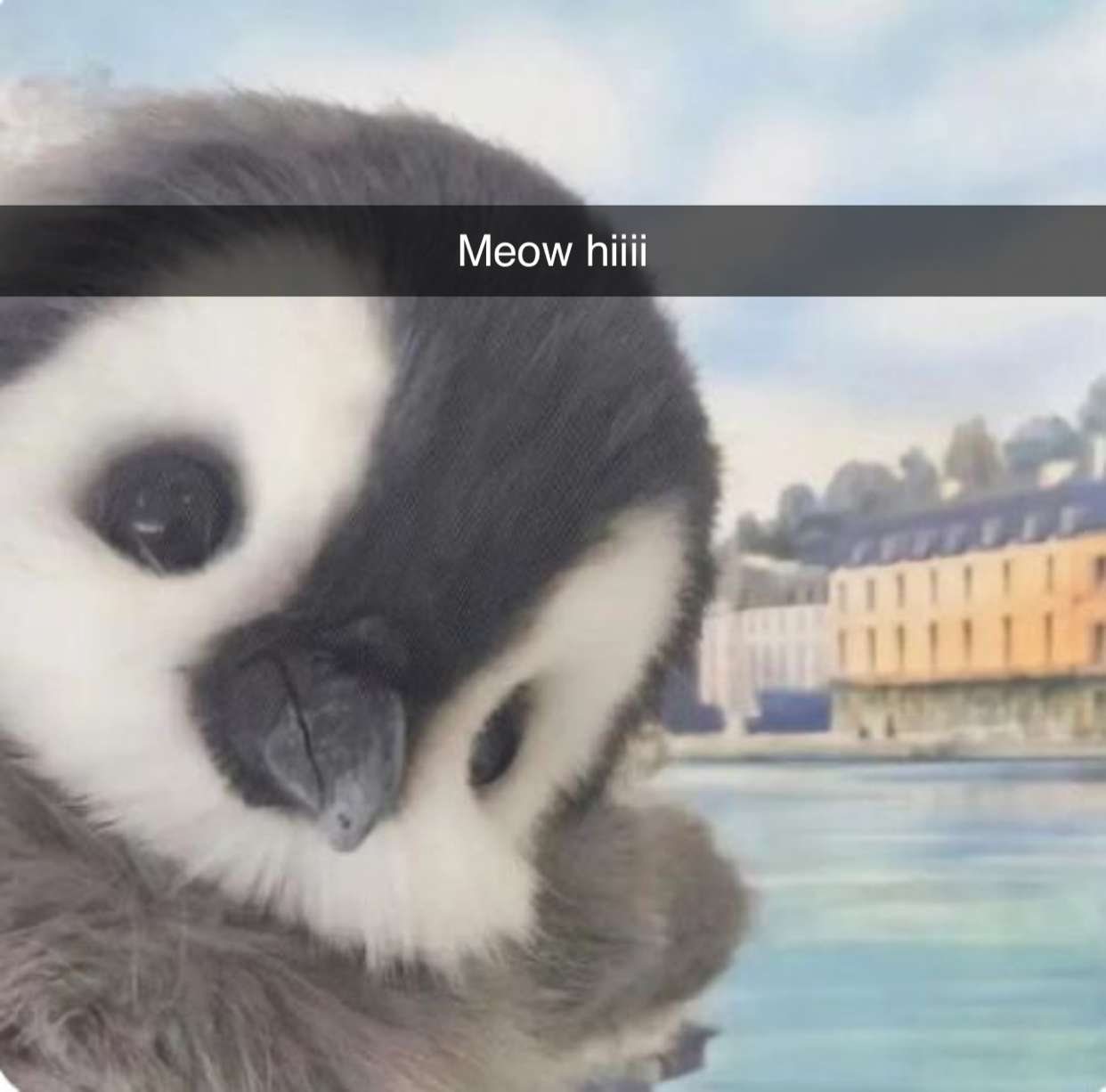 endangerdreamer snapchat image archive image