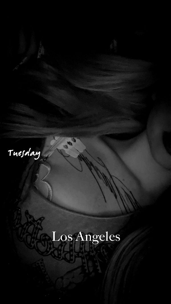 endangerdreamer image ~ Altpins