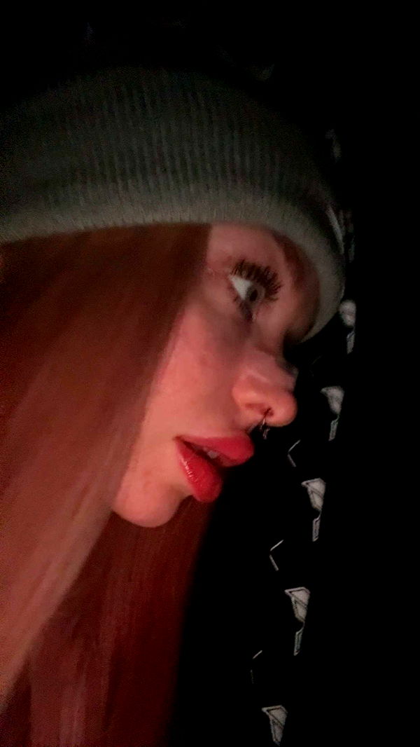 endangerdreamer image ~ Altpins