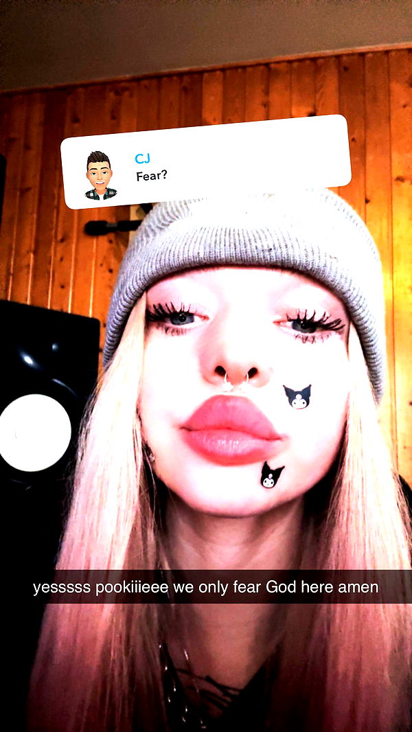 endangerdreamer image ~ Altpins