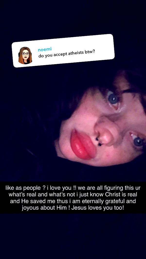 endangerdreamer image ~ Altpins