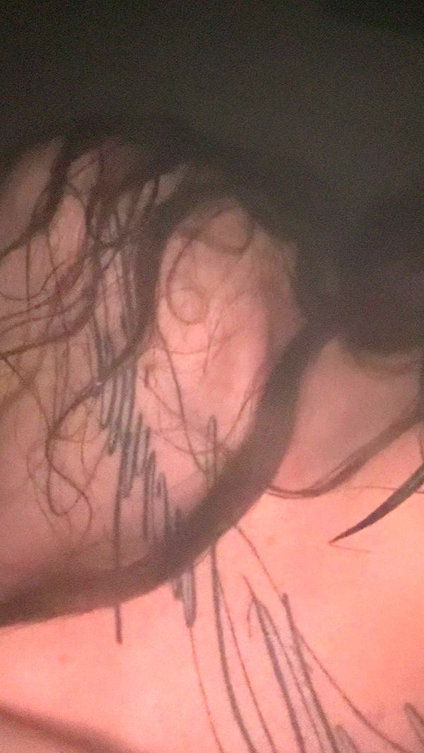 endangerdreamer image ~ Altpins