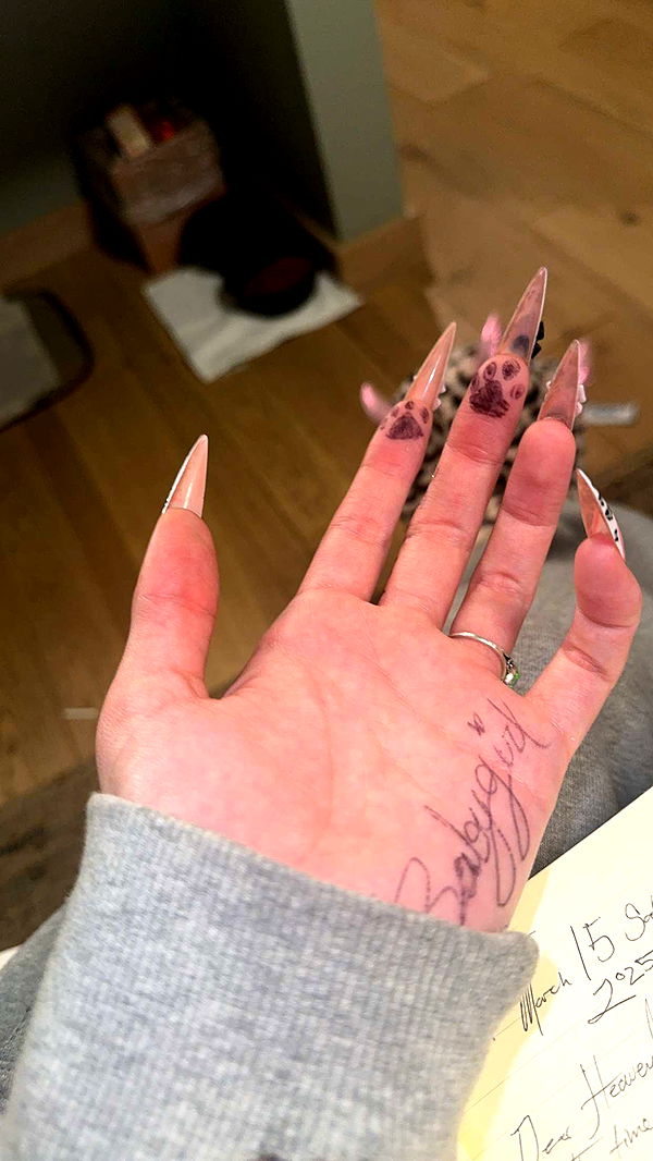 endangerdreamer image ~ Altpins