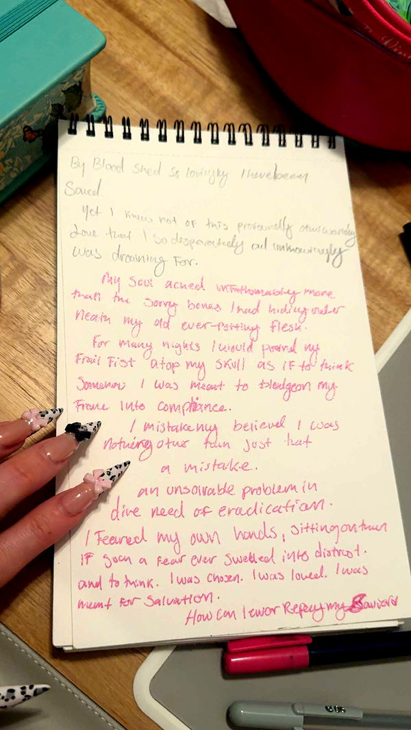 endangerdreamer image ~ Altpins