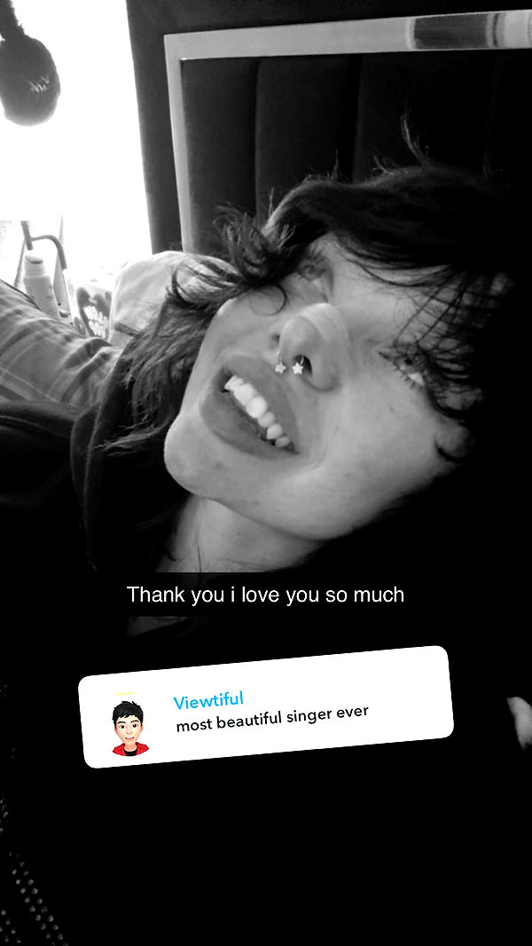 endangerdreamer image ~ Altpins