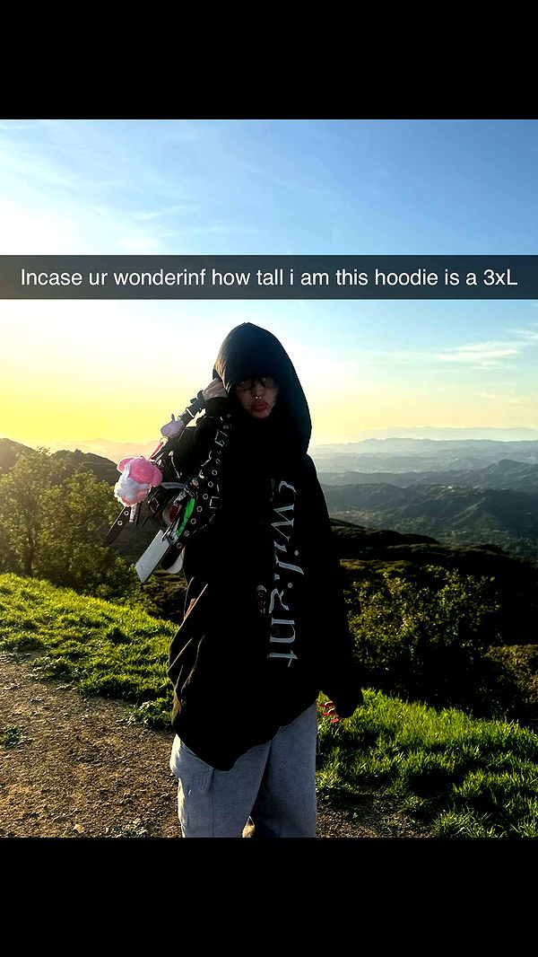 endangerdreamer image ~ Altpins