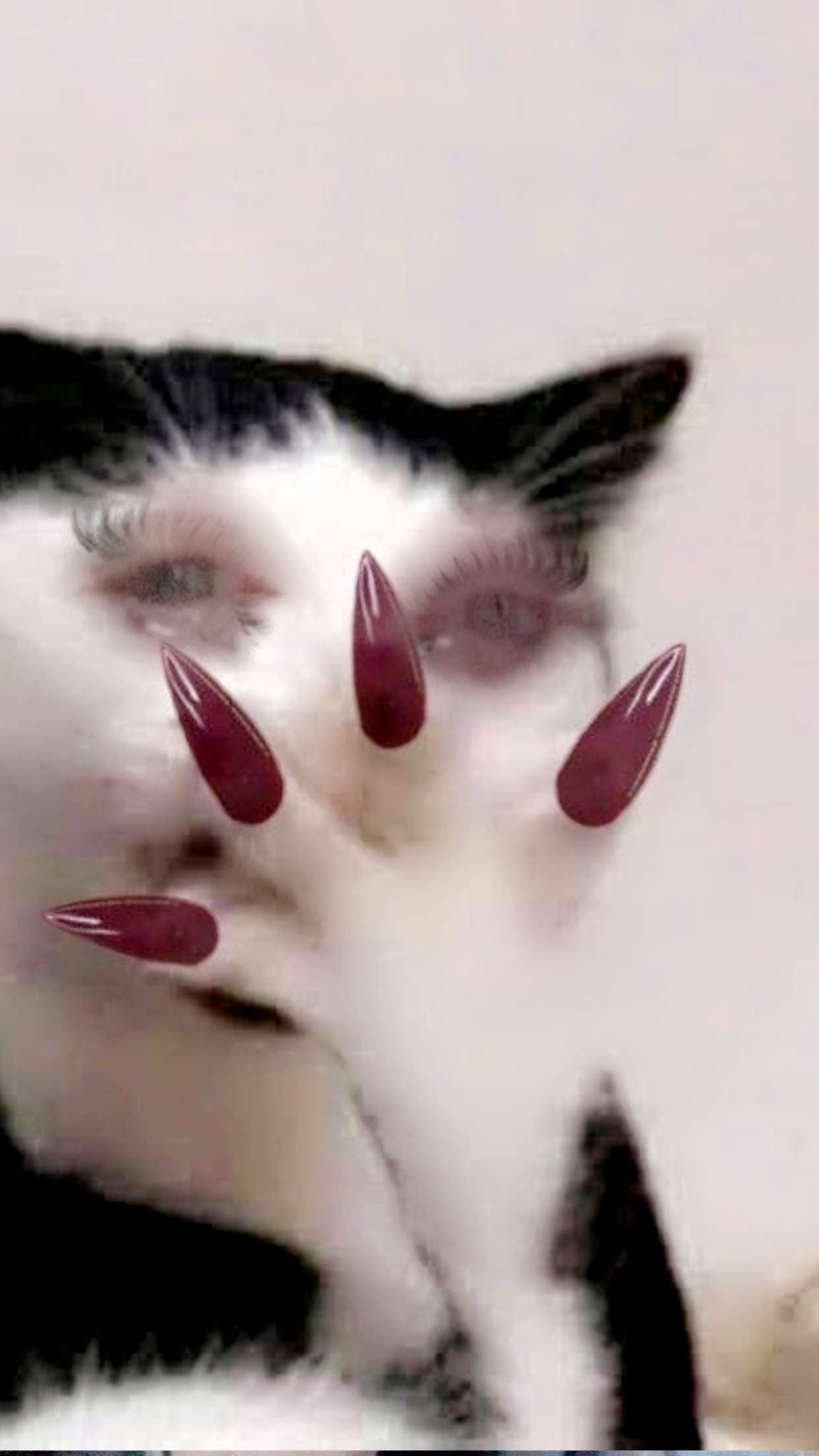 endangerdreamer snapchat image archive image