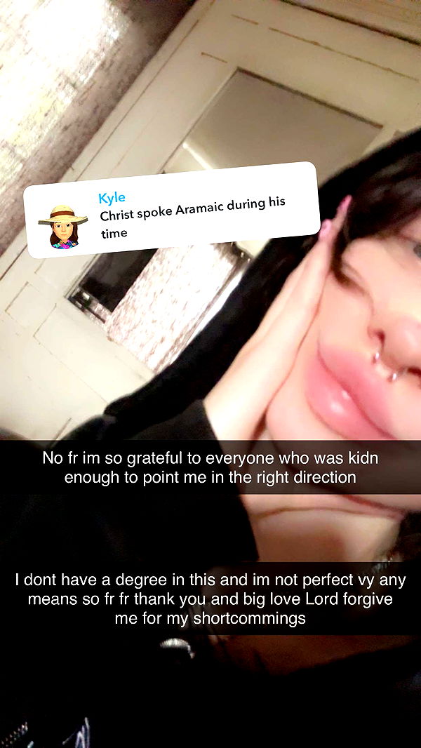 endangerdreamer image ~ Altpins