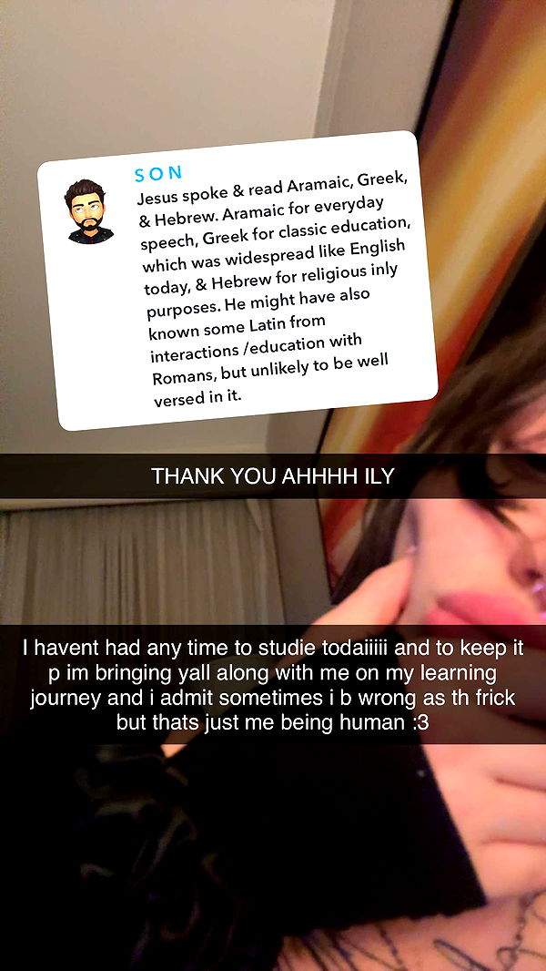 endangerdreamer image ~ Altpins