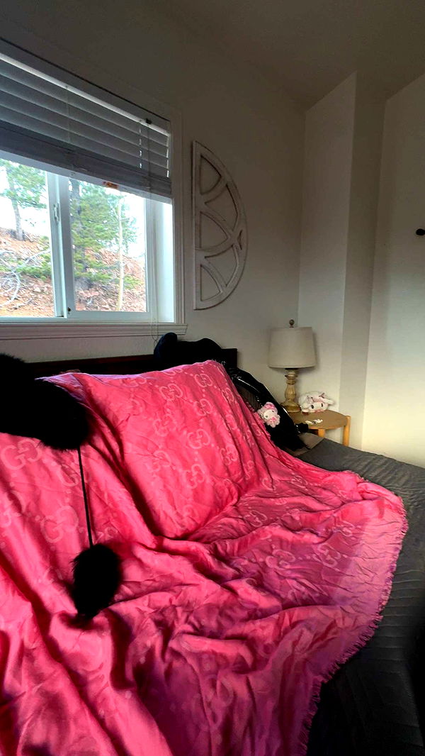 endangerdreamer image ~ Altpins