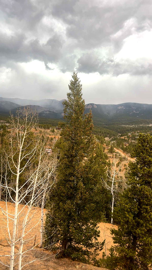 endangerdreamer image ~ Altpins