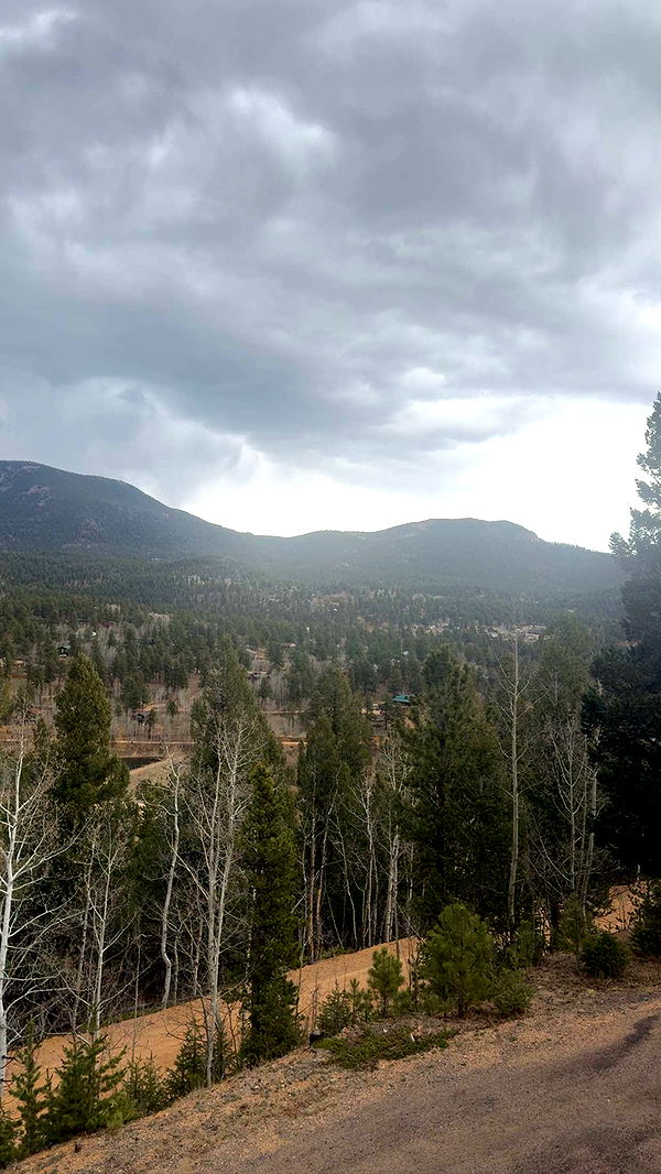 endangerdreamer image ~ Altpins