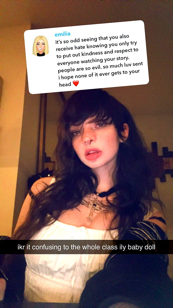 endangerdreamer image ~ Altpins