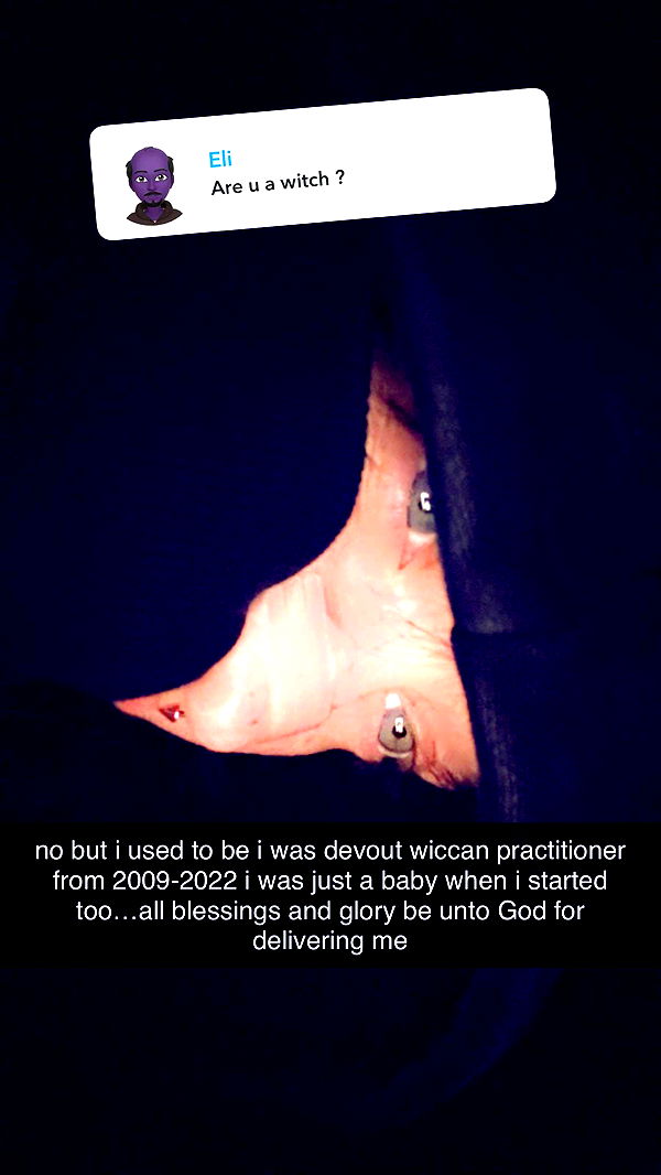 endangerdreamer image ~ Altpins