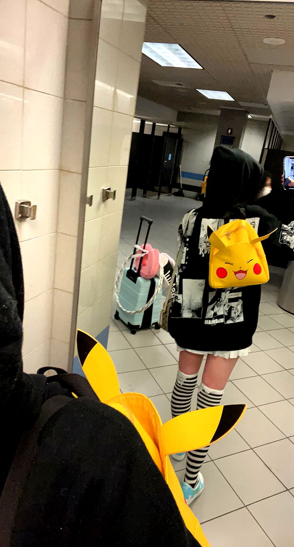 endangerdreamer image ~ Altpins