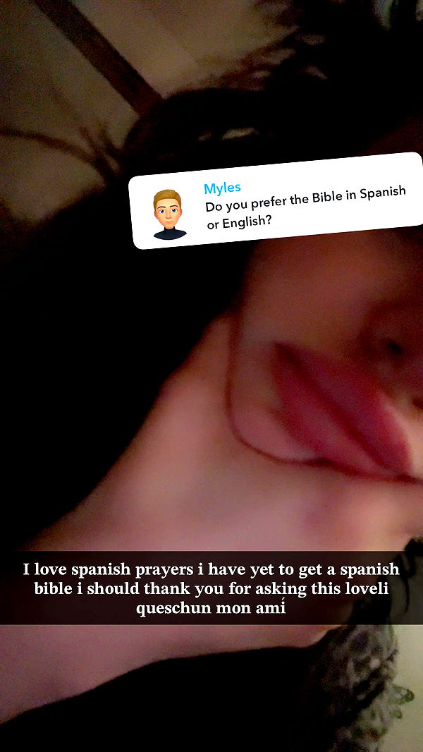 endangerdreamer image ~ Altpins