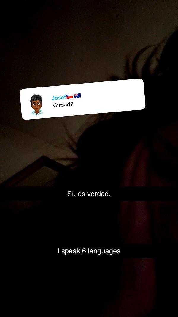 endangerdreamer image ~ Altpins