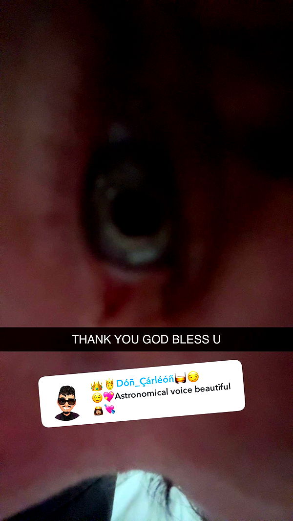 endangerdreamer image ~ Altpins