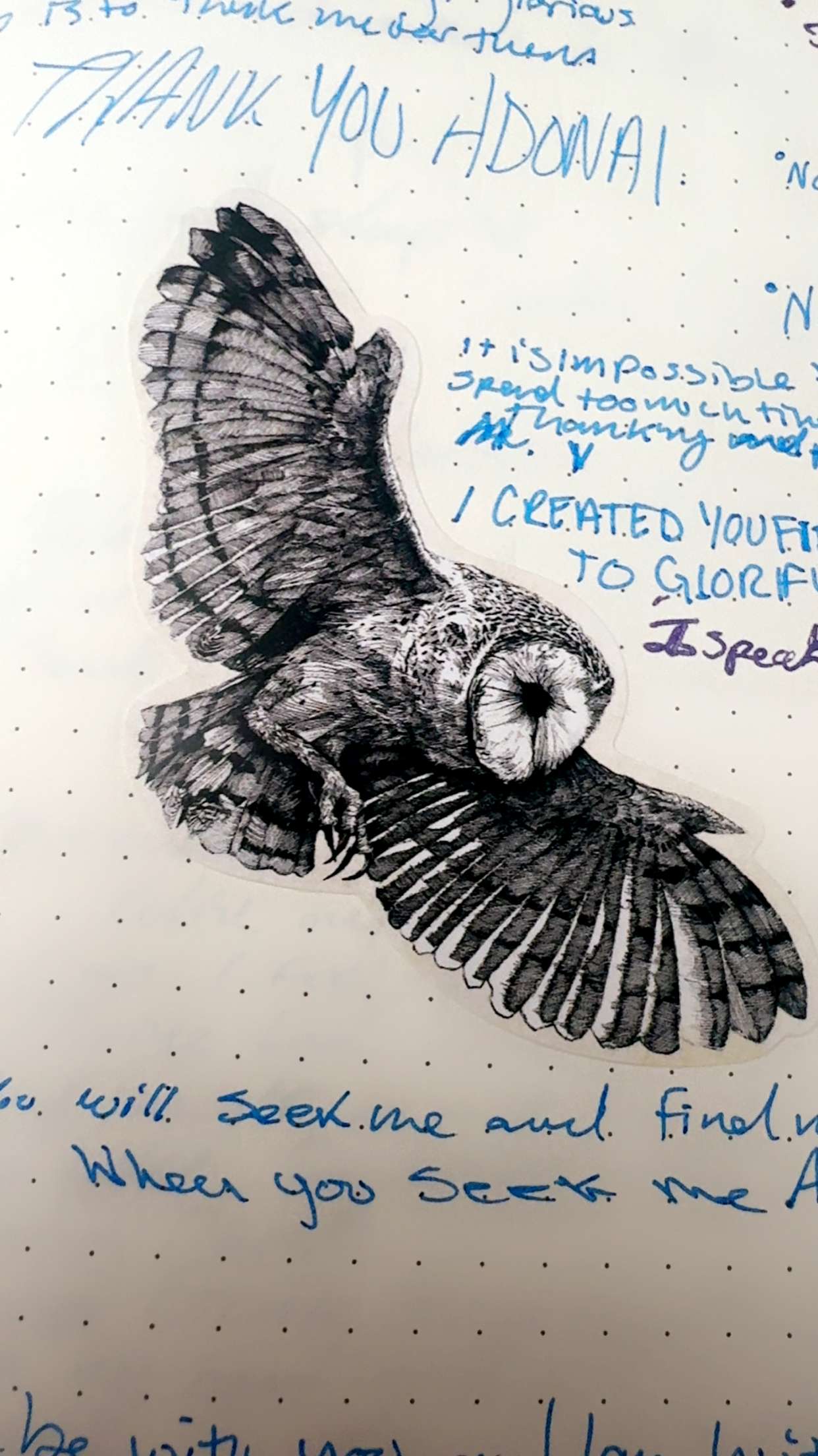 endangerdreamer snapchat image archive image