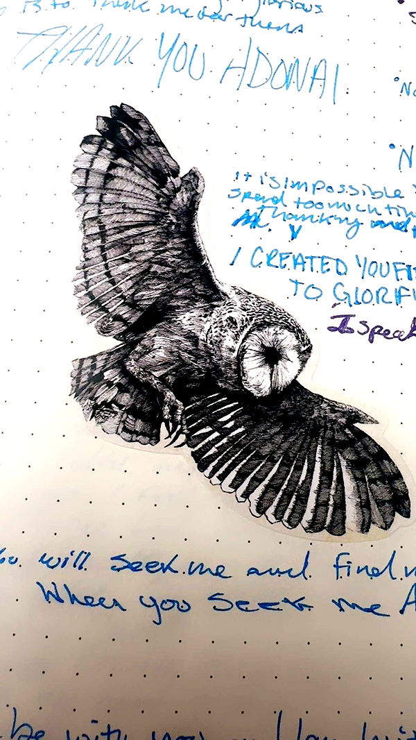 endangerdreamer image ~ Altpins