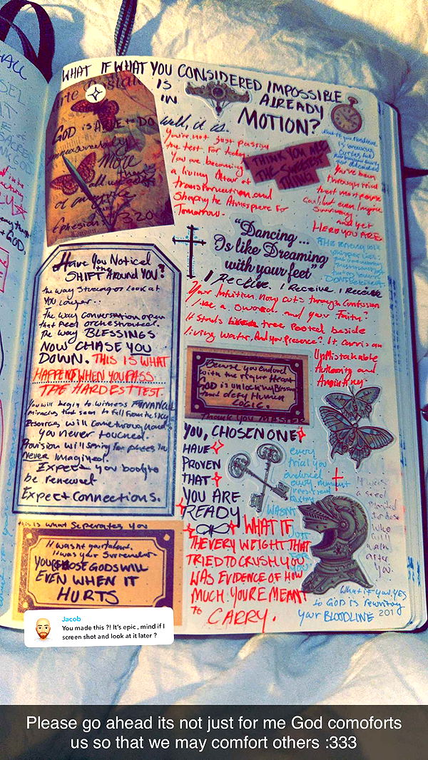 endangerdreamer image ~ Altpins