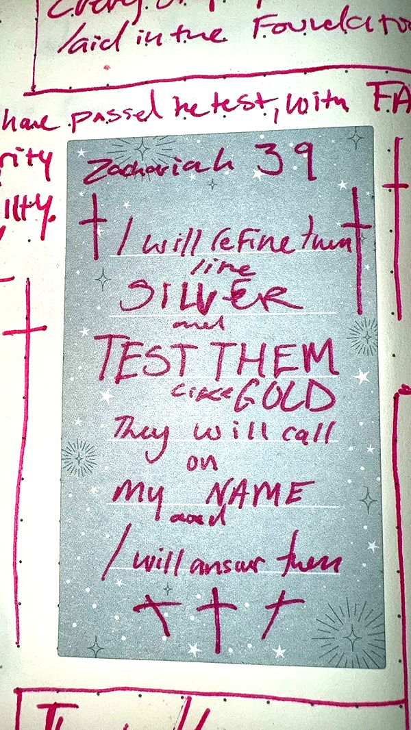 endangerdreamer image ~ Altpins