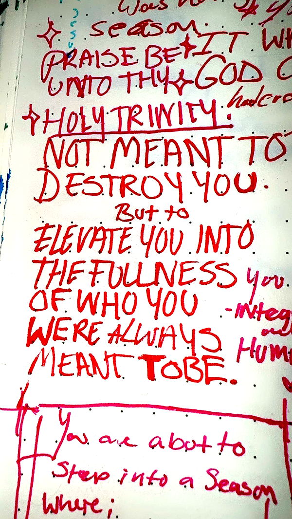 endangerdreamer image ~ Altpins