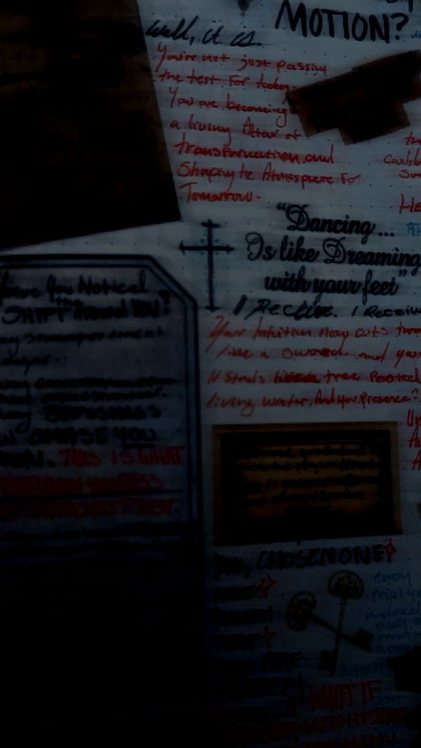 endangerdreamer image ~ Altpins