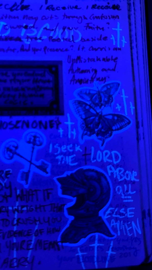 endangerdreamer image ~ Altpins