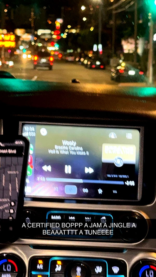 endangerdreamer image ~ Altpins