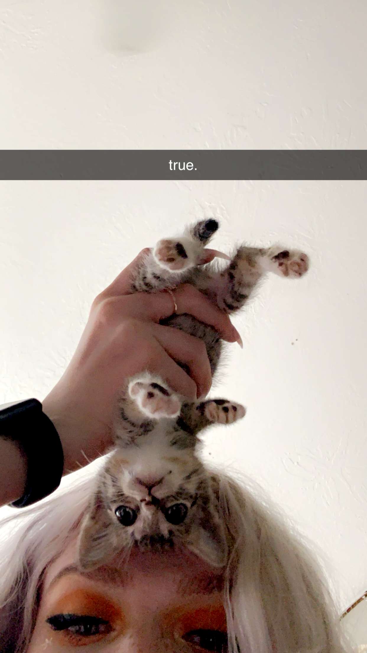 endangerdreamer snapchat image archive image