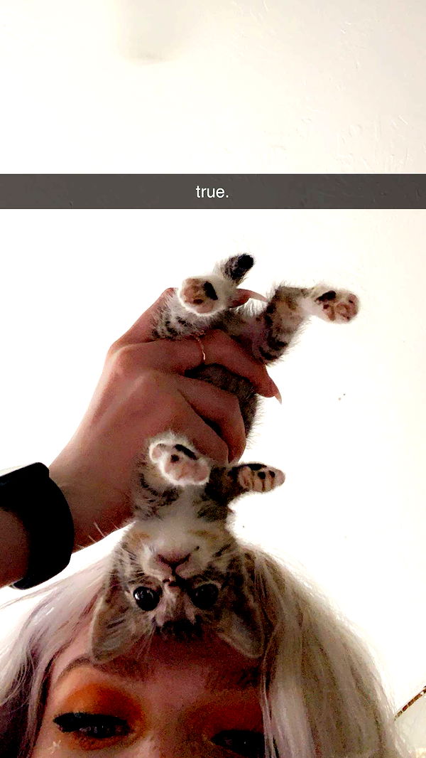 endangerdreamer image ~ Altpins