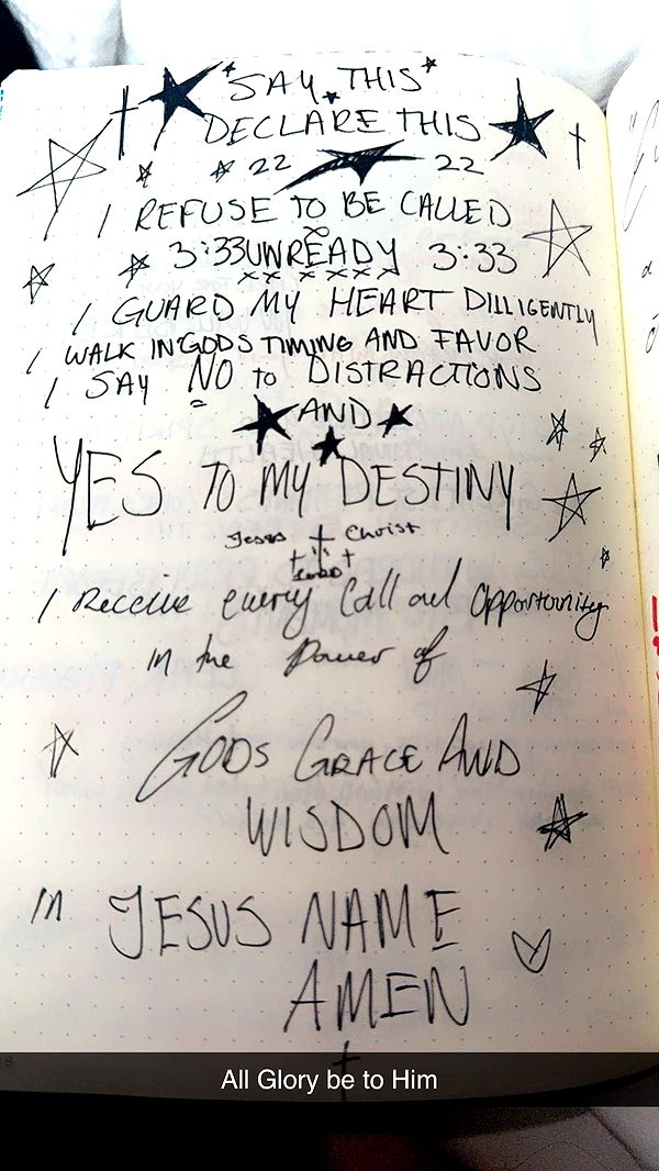 endangerdreamer image ~ Altpins