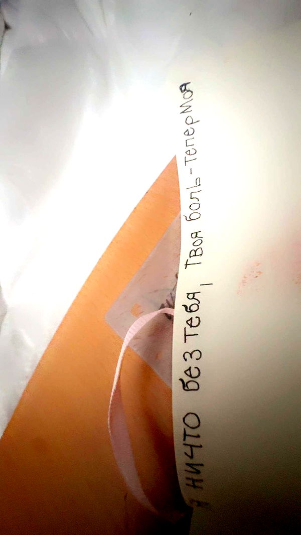 endangerdreamer image ~ Altpins