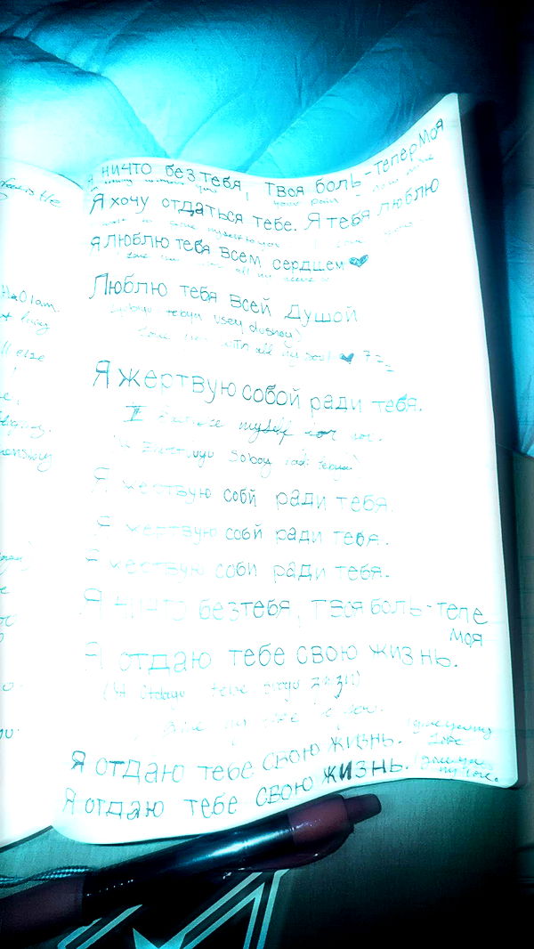 endangerdreamer image ~ Altpins