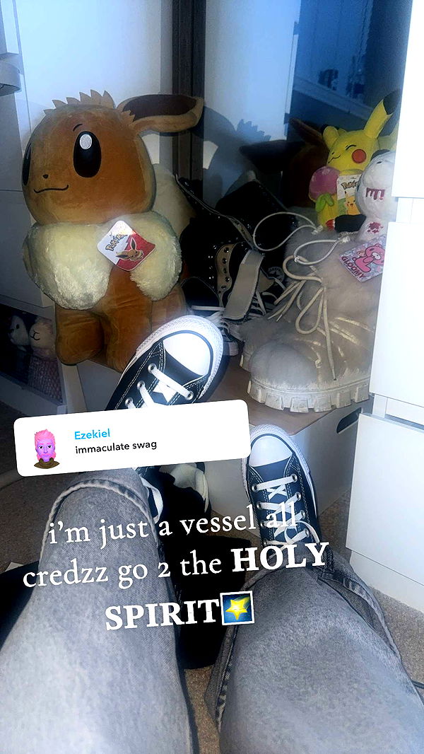 endangerdreamer image ~ Altpins