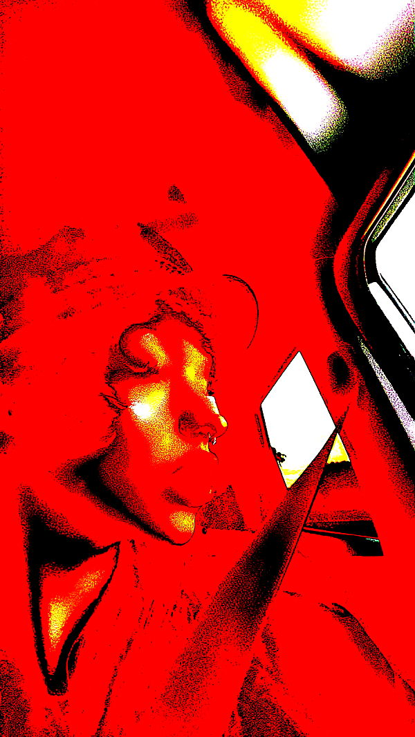 endangerdreamer image ~ Altpins