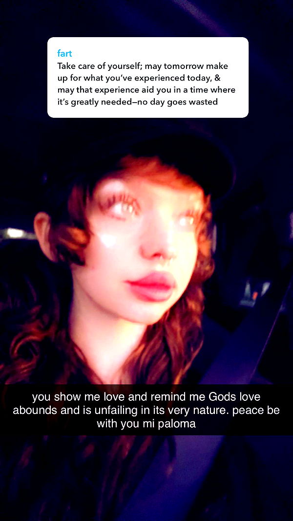 endangerdreamer image ~ Altpins