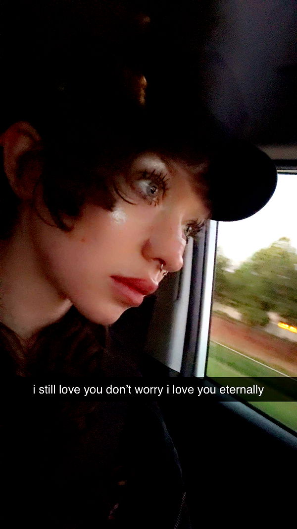 endangerdreamer image ~ Altpins