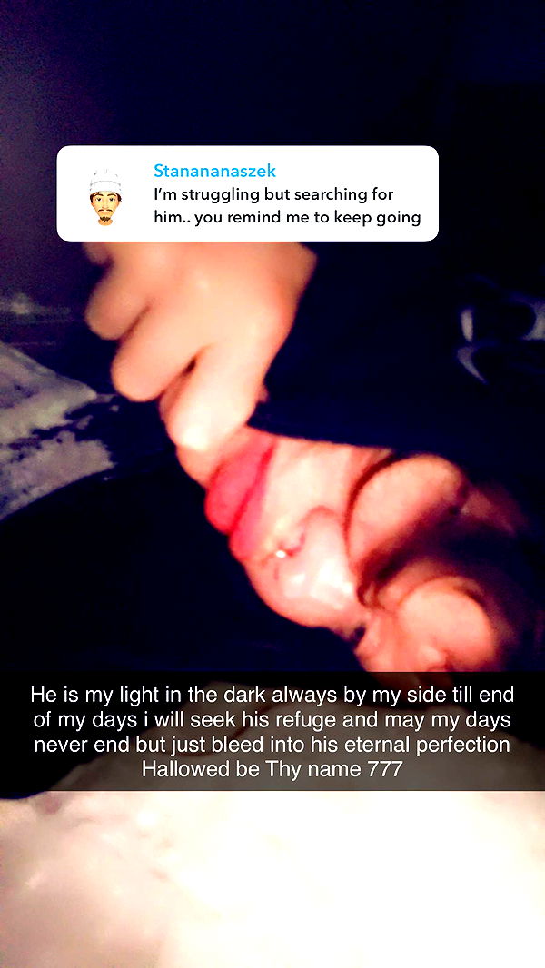 endangerdreamer image ~ Altpins